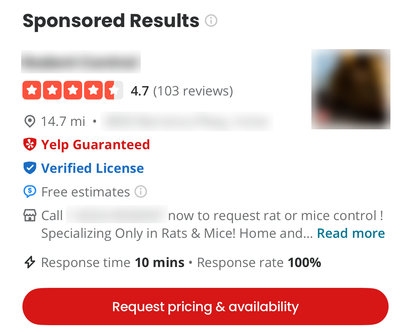 A sponsored Yelp search result for a pest control company showing Yelp Guaranteed and Verified License badges, 'Response time 10 mins, Response rate 100%', and a red 'Request pricing & availability' button, with the business name, address, phone number and photo blurred